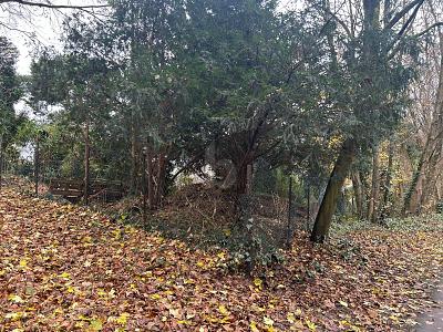 RUHIG UND IDYLLISCH FÜR NATURLIEBHABER - Grundstück Bochum Bochum-Nord | Angebot:25537649