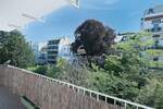 Etagenwohnung Düsseldorf Oberkassel - 3 Zimmer, 84 m&sup2;, 495.000&euro; | Angebot:25744670