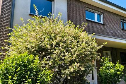 Haus Duisburg Rheinhausen - 5 Zimmer, 155 m&sup2;, 519.000&euro; | Angebot:27094941