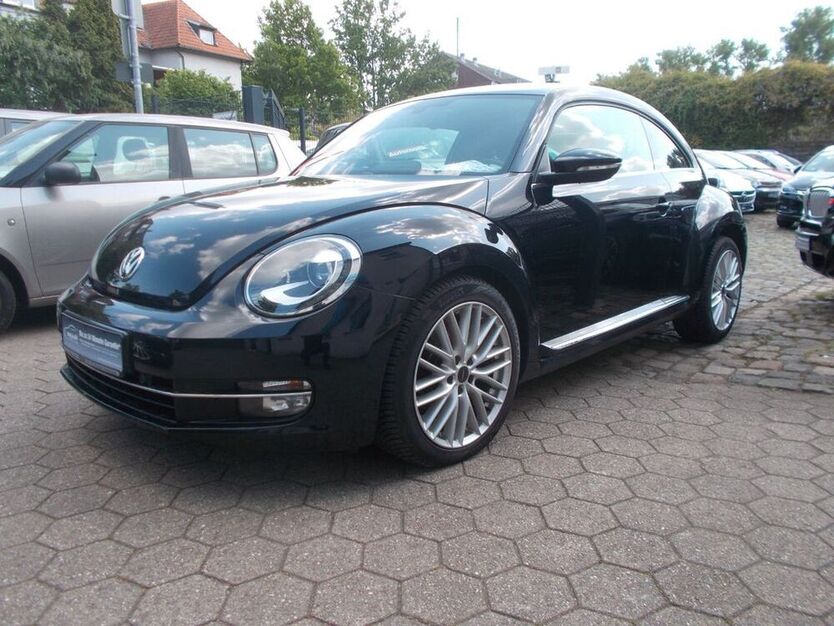 Beetle