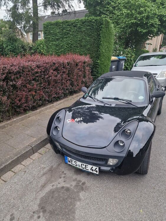 Roadster