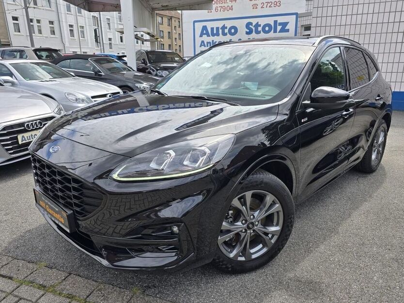 Kuga