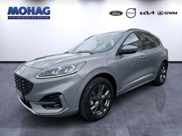 Kuga