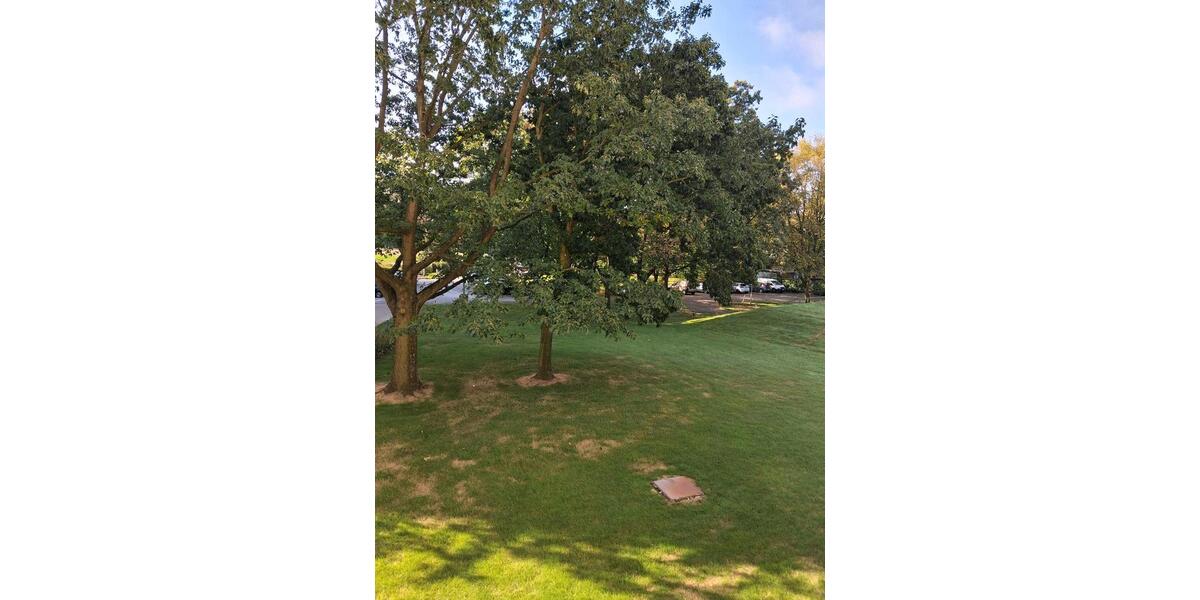 Etagenwohnung Duisburg Großenbaum - 2 Zimmer, 61 m&sup2;, 173.000&euro; | Angebot:27415933