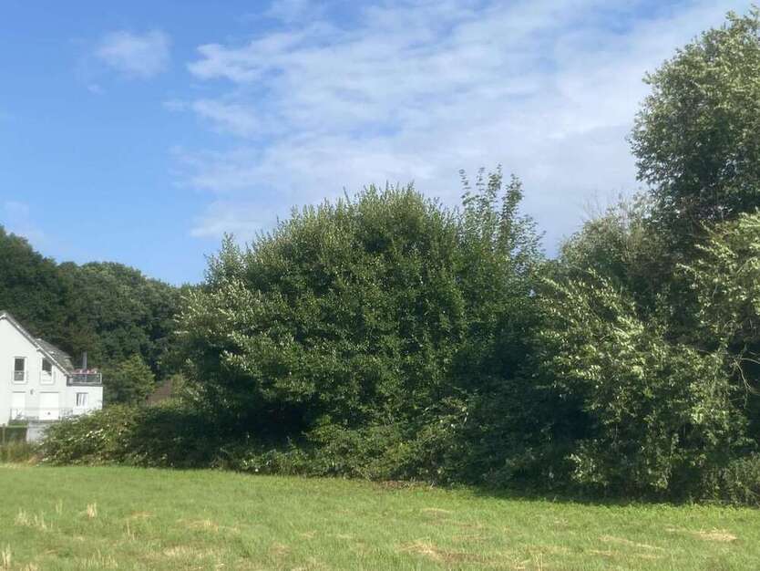 Grundstück in Herten- Transvaal 62.000 € 1221 m²