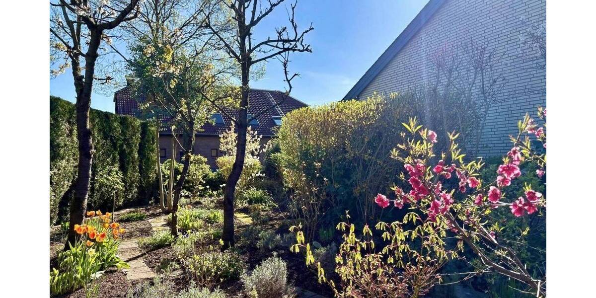 Mehrfamilienhaus, Wohnhaus Rheinberg Alpsray - 1 Zimmer, 203 m&sup2;, 589.000&euro; | Angebot:26450272