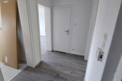 2,5 Zimmer Wohnung frisch renoviert in ruhiger Wohnlage 1 zimmer