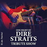 One Night of Dire Straits - Tribute Show