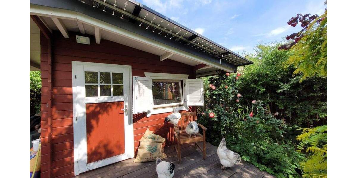 Großzügiges Haus mit auf 800 m² Grundstück mit ca.60 m² naturbelassenen Schwimmteich in Herten 1 zimmer