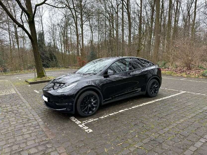 Model Y