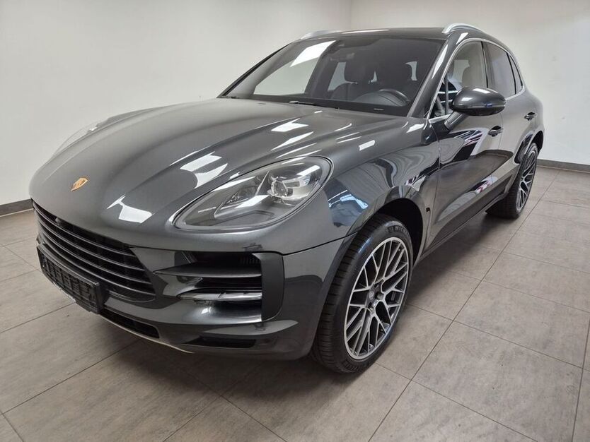 Macan