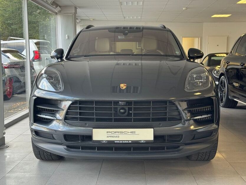 Macan