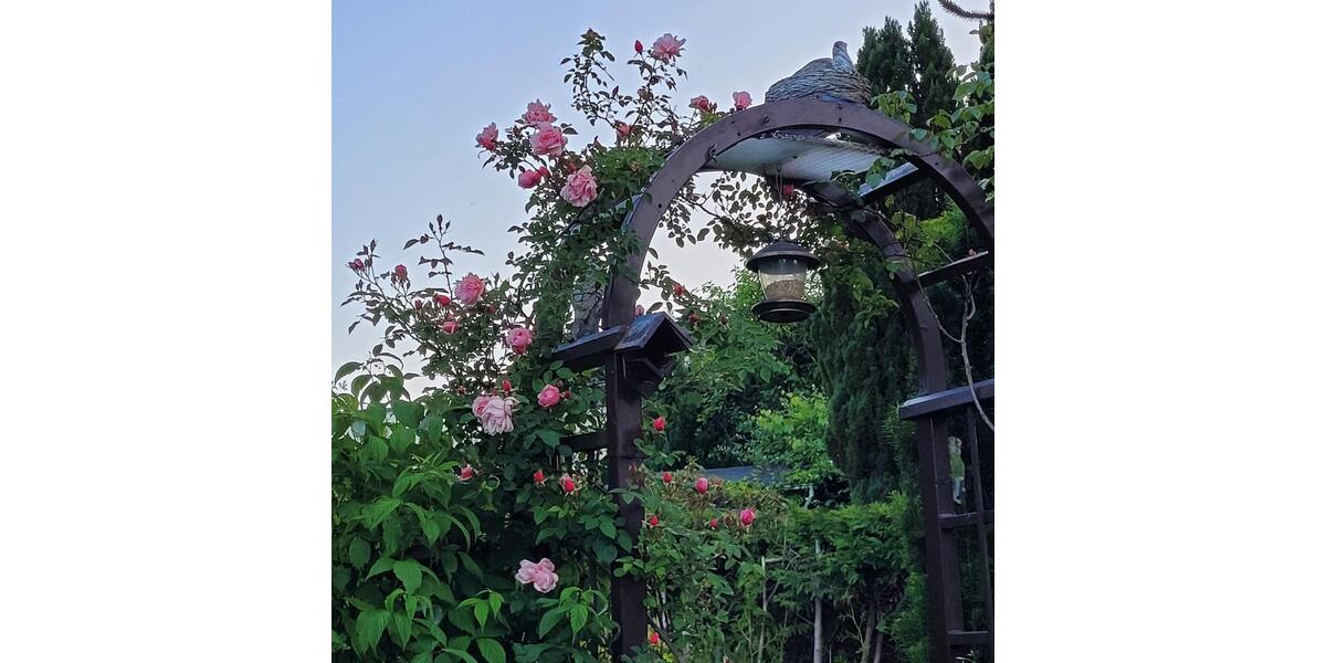 Doppelhaushälfte Velbert Pöthen - 3 Zimmer, 100 m&sup2;, 275.000&euro; | Angebot:24770606