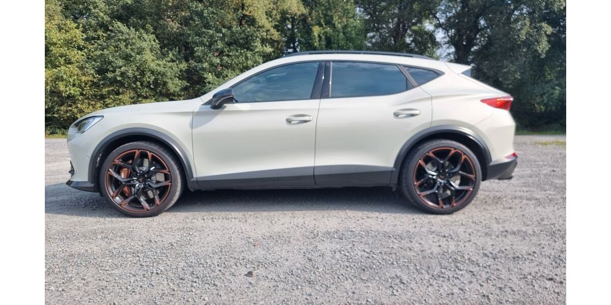 Cupra Formentor 17.207 km 54.600 € Bottrop 46242