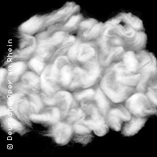 Holle! 31.01.2026 Opernhaus Düsseldorf