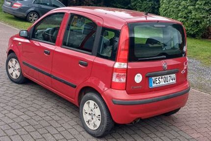 Fiat Panda 227.000 km 999 &euro; Schermbeck 46514