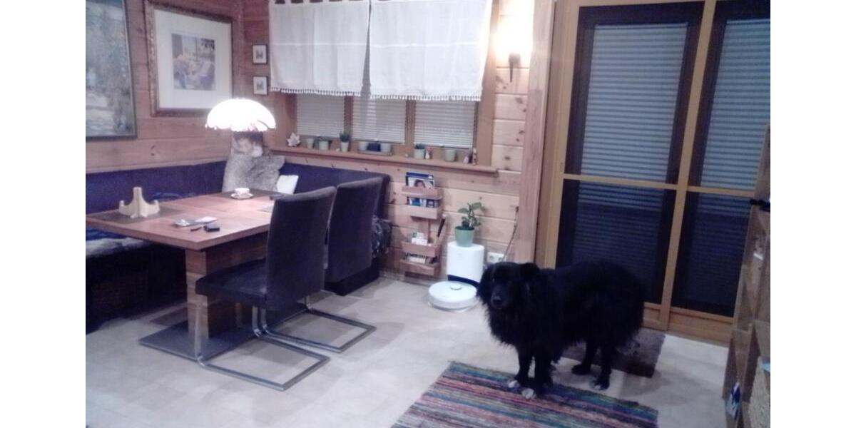 Zwei Blockhäuser auf Pachtgrundstück zu verkaufen 1 zimmer