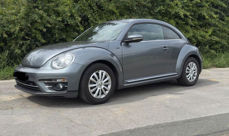 Beetle