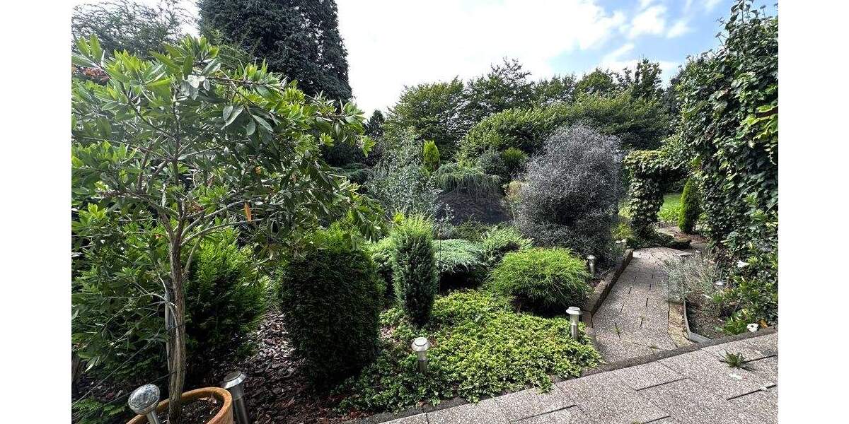 Mehrfamilienhaus, Wohnhaus Gelsenkirchen Horst - 895.000&euro; | Angebot:24486970