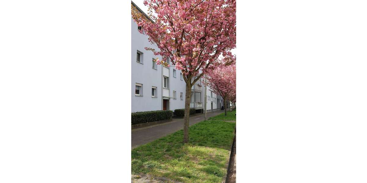 Etagenwohnung Herne Wanne-Bickern - 2.5 Zimmer, 45 m&sup2;, 304&euro; | Angebot:27054967