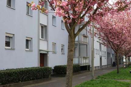 Wohnung Herne Wanne-Bickern - 2.5 Zimmer, 45 m&sup2;, 304&euro; | Angebot:27054967