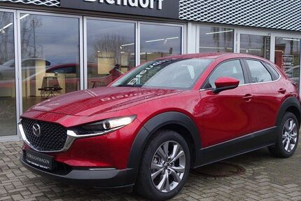 Mazda CX-30 21.773 km 24.450 &euro; Herten 45701