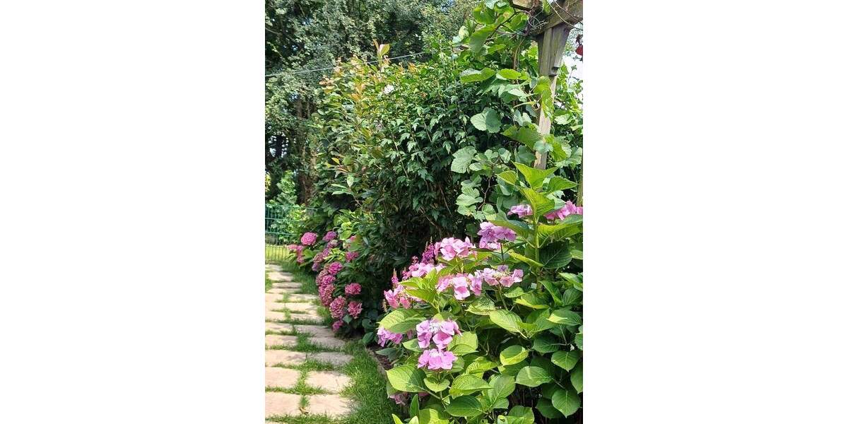 Genießen Sie den nächsten Sommer auf der eigenen Terrasse: Tolle Wohnung in Rheinberg-Borth 3 zimmer