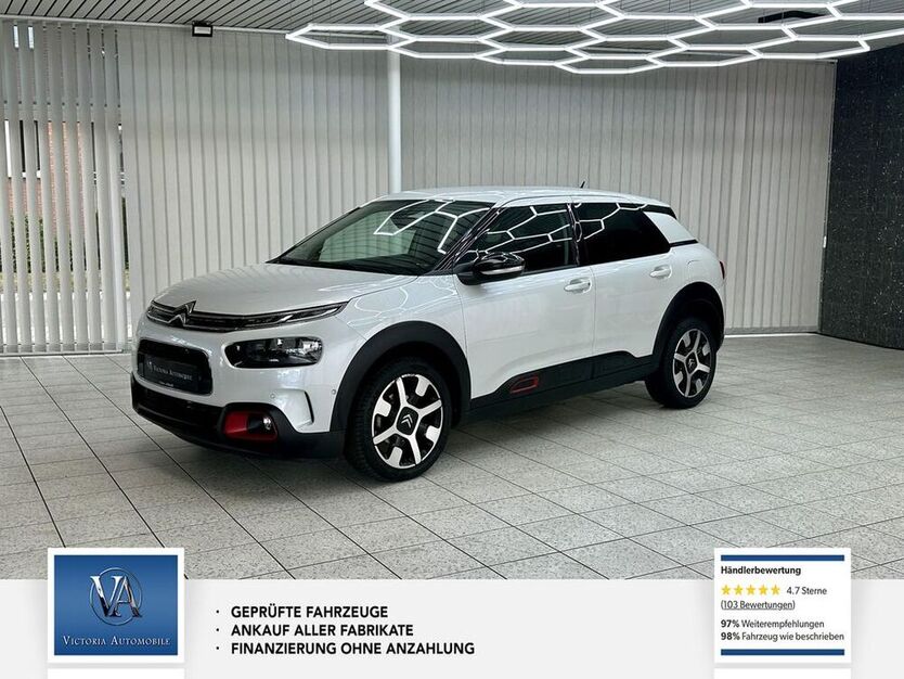 C4 Cactus