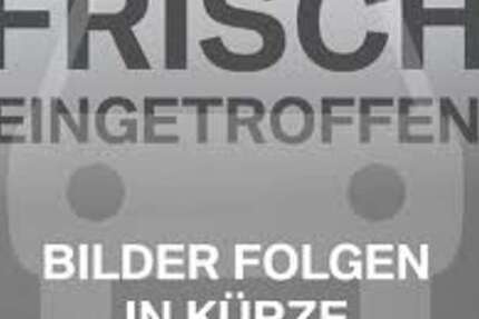 Audi Q7 195.000 km 24.000 € Mülheim 45473