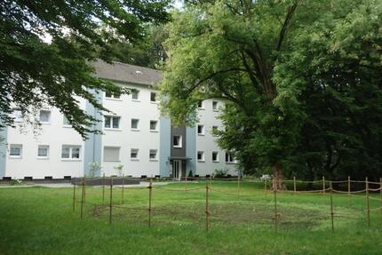 Wir modernisieren für Sie! 3 zimmer