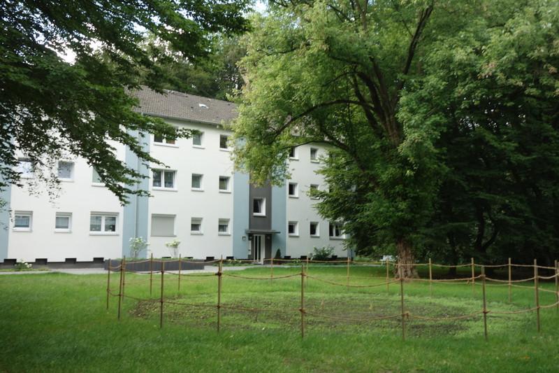 Wir modernisieren für Sie! 3 zimmer