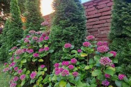 Haus zum Kaufen in Mülheim an der Ruhr 675.000 € 200 m² 7 zimmer