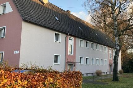 Vier Wände zum Wohlfühlen. 3 zimmer