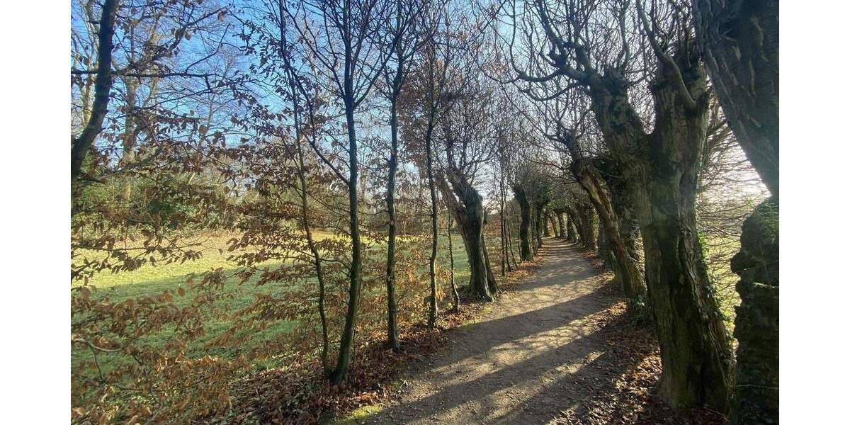 Provisionsfrei: Niedrigenergiehaus, bezugsfertig in Düsseldorf-Kalkum, Süd-West-Lage 3 zimmer