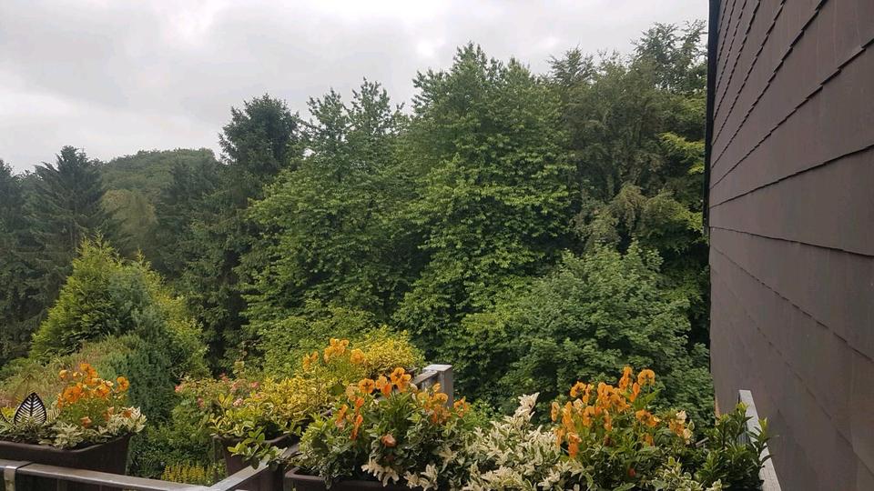 Mehrfamilienhaus, Wohnhaus Velbert Pöthen - 11 Zimmer, 300 m&sup2;, 670.000&euro; | Angebot:26905114