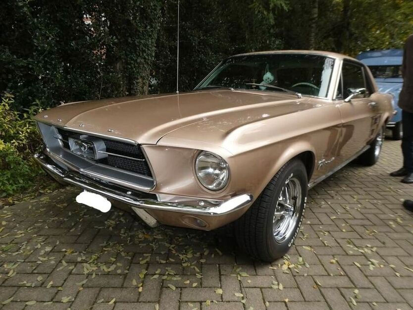 Mustang