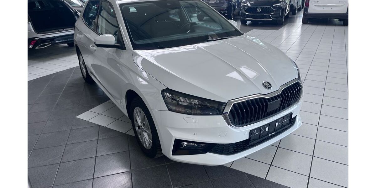 Skoda Fabia 31.222 km 19.000 &euro; Gelsenkirchen 45892