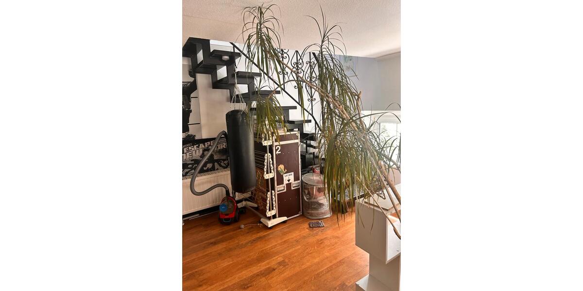 Dachgeschoßwohnung Krefeld Cracau - 3 Zimmer, 110 m&sup2;, 900&euro; | Angebot:26223508