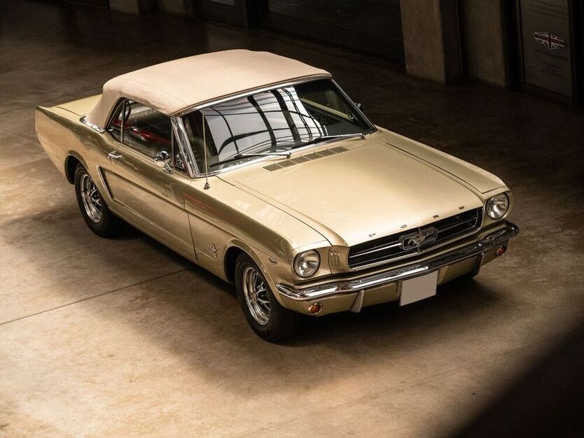Mustang