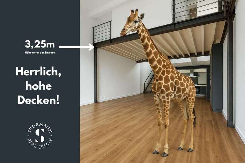 Wohnung zum Kaufen in Düsseldorf 895.000 € 160 m²