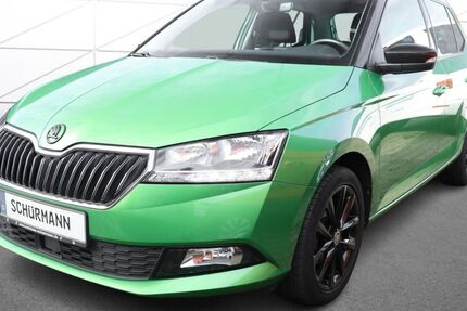 Skoda Fabia 49.081 km 12.448 &euro; Herten 45701