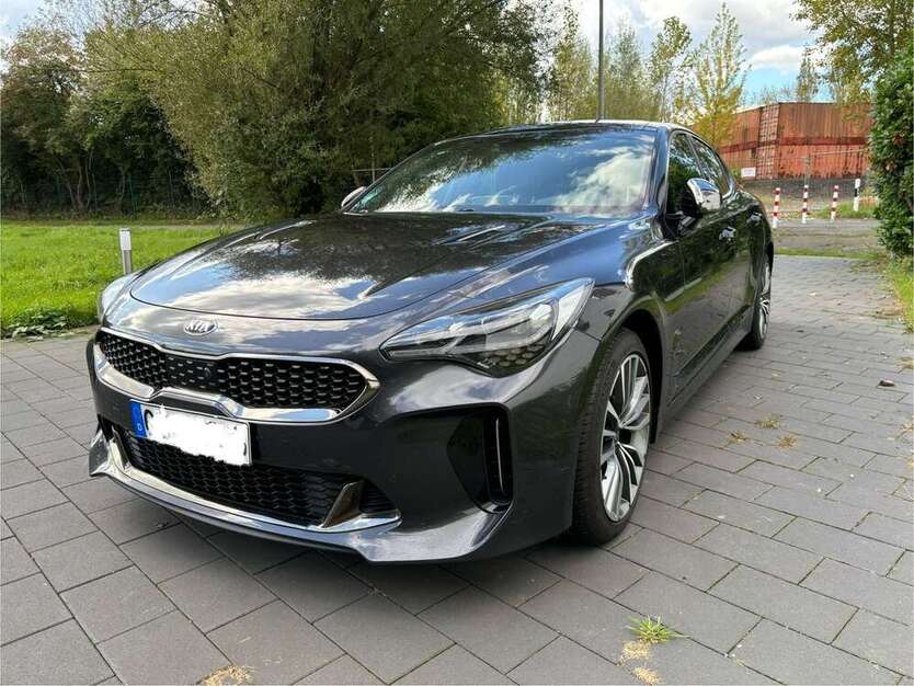Stinger