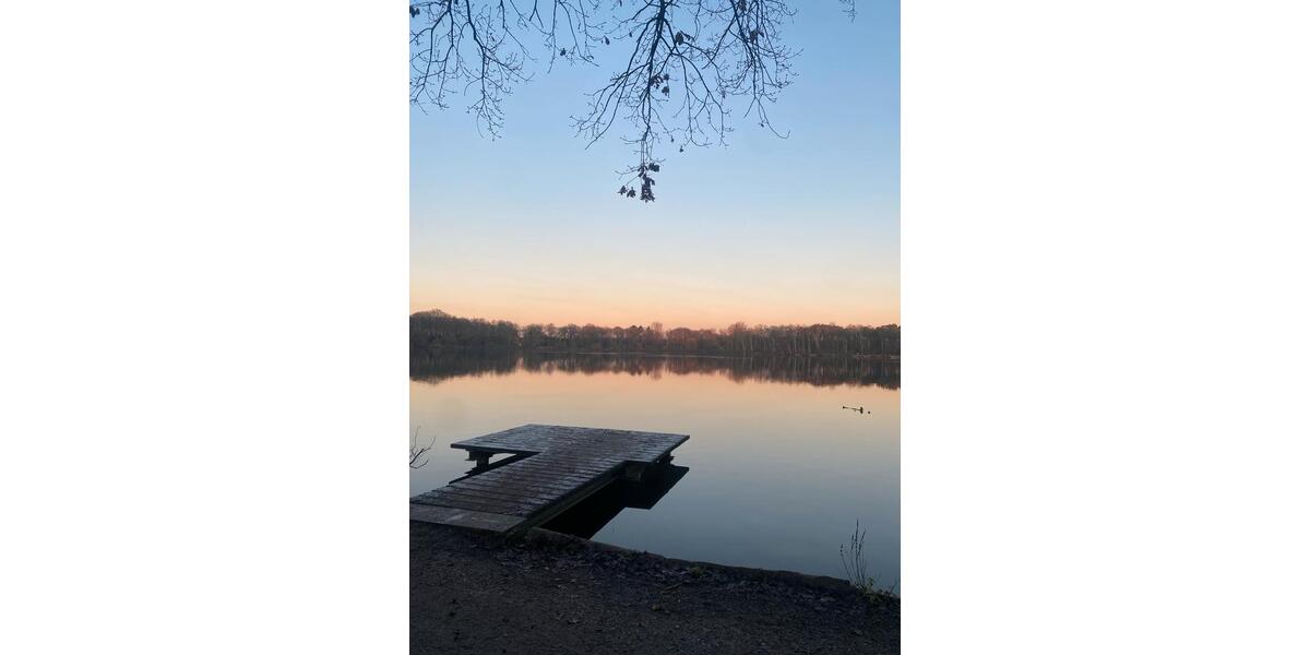 Wunderschönes Single-Apartment 1 zimmer