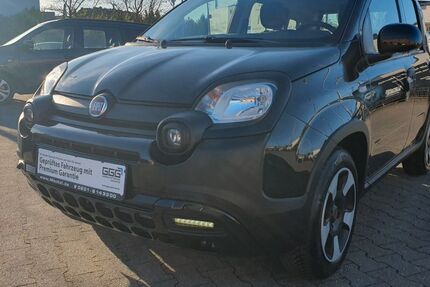 Fiat Panda 52.601 km 10.799 &euro; Essen 45326