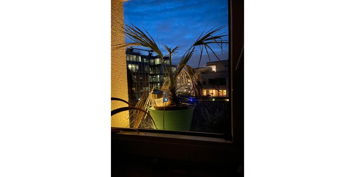 Kein jobcenter Rüttenscheid 70 qm 3,5 R + 6 qm Abstellr. + Kell 3 zimmer