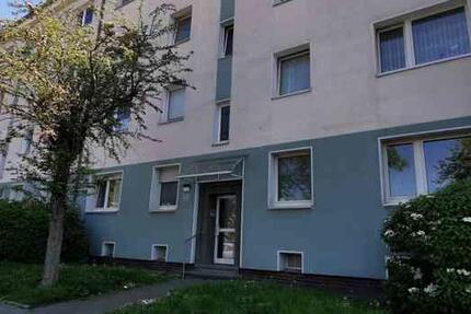 Wo das Leben so spielt - 2-Zimmer-Wohnung zimmer