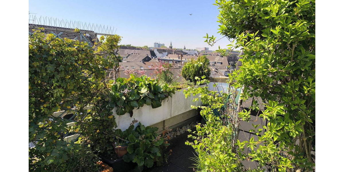 Terrassenwohnung Dinslaken Innenstadt - 4 Zimmer, 147 m&sup2;, 249.000&euro; | Angebot:26418076
