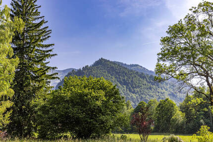 Jetzt mit FamiliemitKInd-Bonus - Sonniges Grundstück in Fischbachau