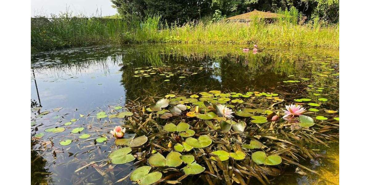 Bauernhaus, Landhaus Moers Vinn - 5 Zimmer, 244 m&sup2;, 797.000&euro; | Angebot:25038122