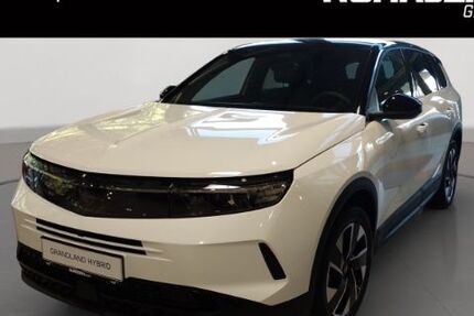 Opel Grandland (X) 8.990 km 34.990 &euro; Duisburg 47059